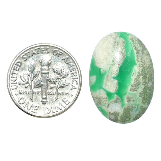Utah Variscite 15.5x22x4.6 mm Oval Shape Polished Gemstone LS93-07944