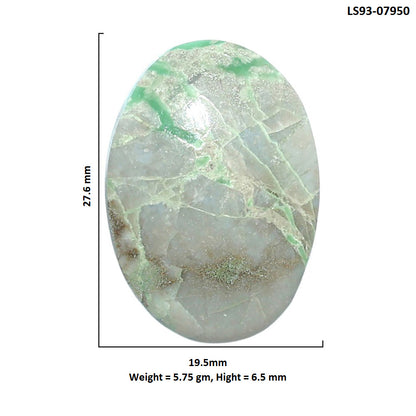 Utah Variscite 19.5x27.6x6.5 mm Oval Shape Polished Gemstone LS93-07950