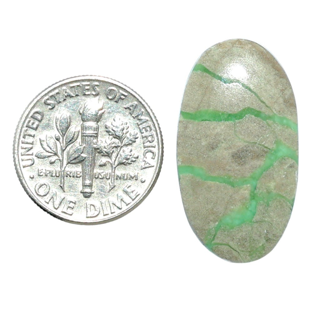 Utah Variscite 14.6x26.8x4 mm Oval Shape Polished Gemstone LS93-07951