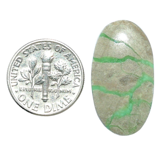 Utah Variscite 14.6x26.8x4 mm Oval Shape Polished Gemstone LS93-07951
