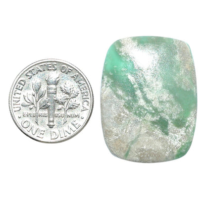Utah Variscite 20.5x26.65x5.5 mm Cushion Shape Polished Gemstone LS93-07959