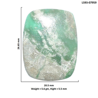 Utah Variscite 20.5x26.65x5.5 mm Cushion Shape Polished Gemstone LS93-07959