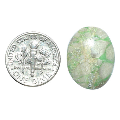 Utah Variscite 15.6x20.4x6 mm Oval Shape Polished Gemstone LS93-07961