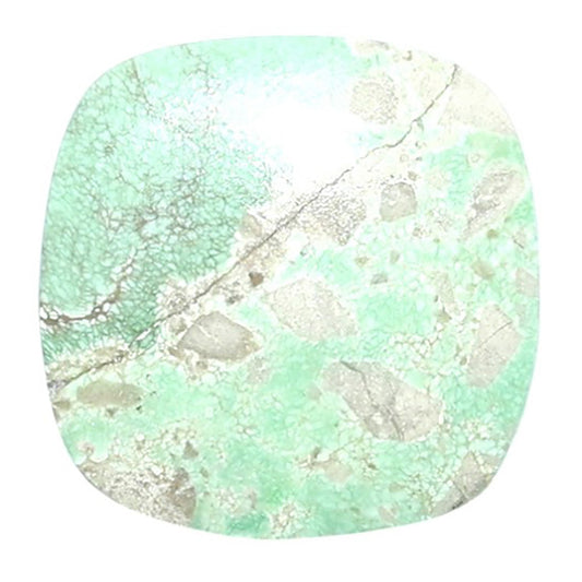 Utah Variscite 20.3x20.5x3.3 mm Cushion Shape Polished Gemstone LS93-07964