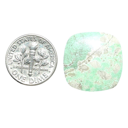 Utah Variscite 20.3x20.5x3.3 mm Cushion Shape Polished Gemstone LS93-07964