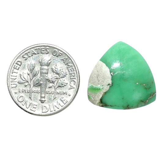 Utah Variscite 17x17x5 mm Fancy Shape Polished Gemstone LS93-07968