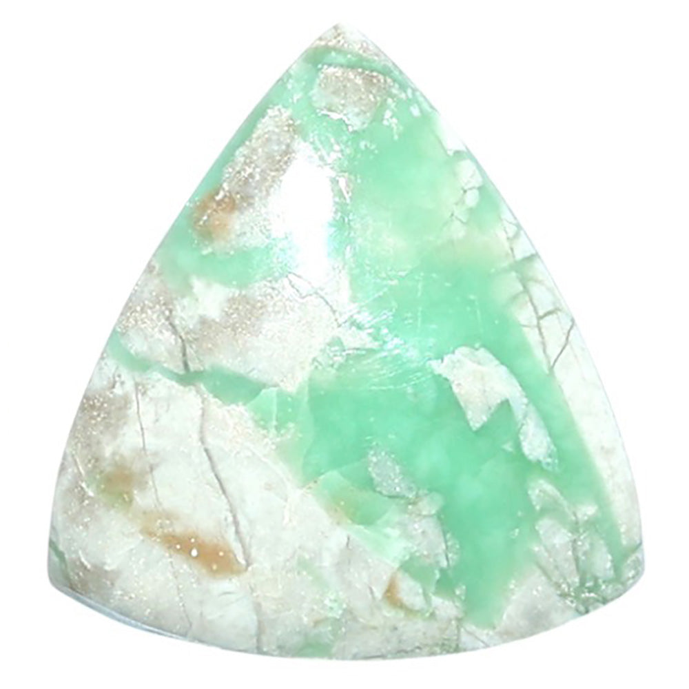 Utah Variscite 21.5x23x5.5 mm Fancy Shape Polished Gemstone LS93-07974