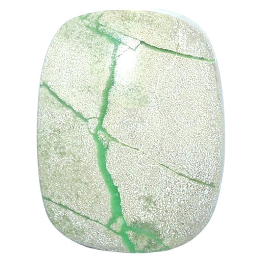 Utah Variscite 17.7x23.1x4.7 mm Cushion Shape Polished Gemstone LS93-07976