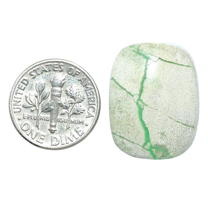 Utah Variscite 17.7x23.1x4.7 mm Cushion Shape Polished Gemstone LS93-07976