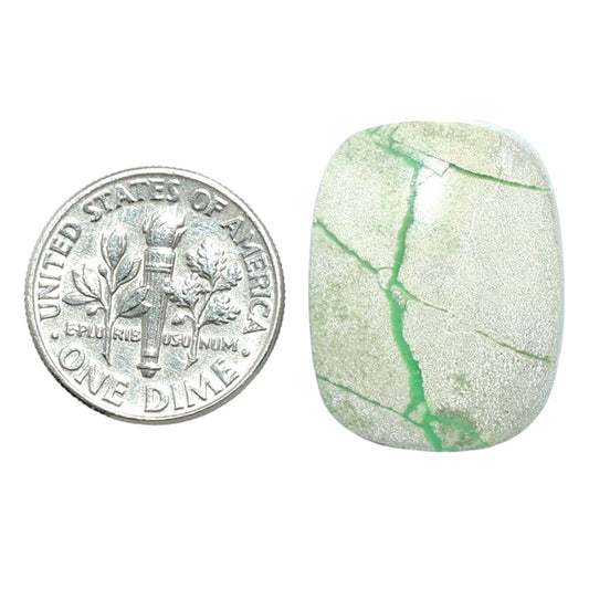 Utah Variscite 17.7x23.1x4.7 mm Cushion Shape Polished Gemstone LS93-07976