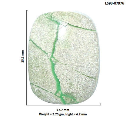 Utah Variscite 17.7x23.1x4.7 mm Cushion Shape Polished Gemstone LS93-07976