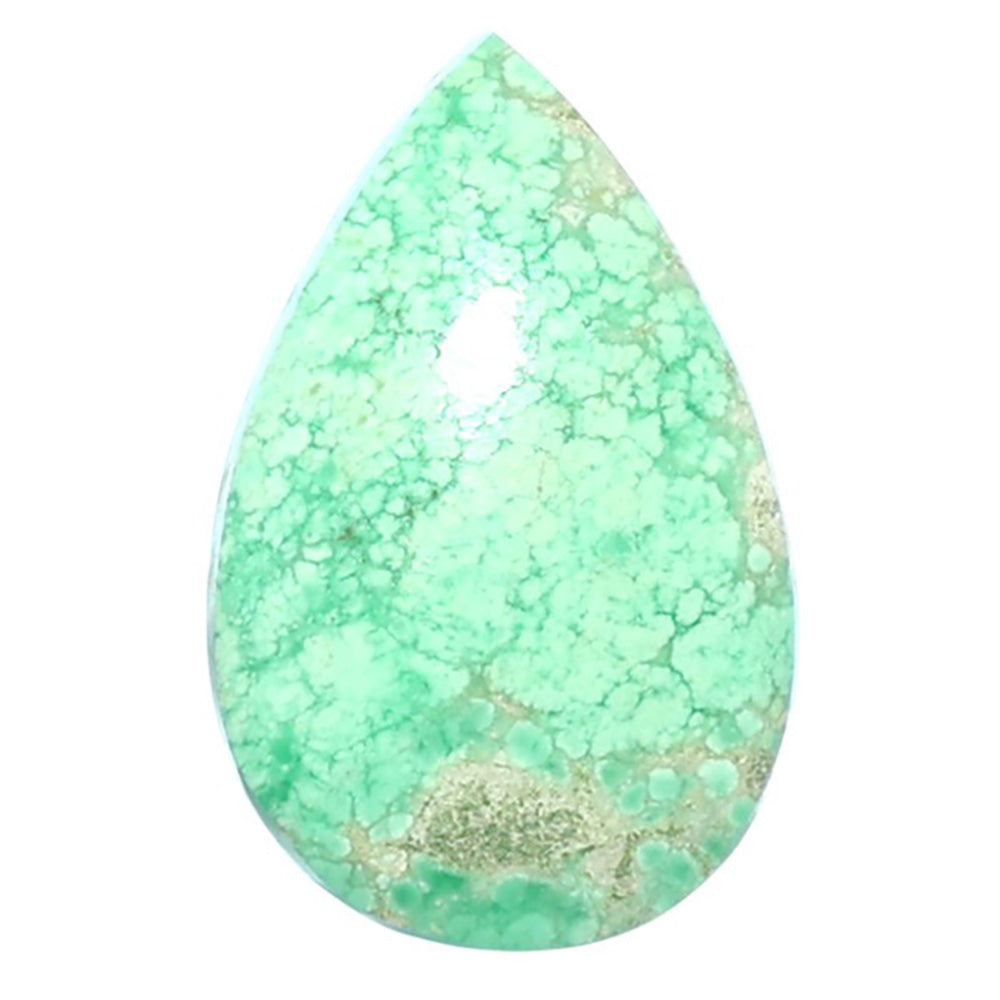 Utah Variscite 14.8x23.3x5 mm Pear Shape Polished Gemstone LS93-07977