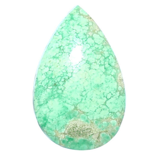 Utah Variscite 14.8x23.3x5 mm Pear Shape Polished Gemstone LS93-07977