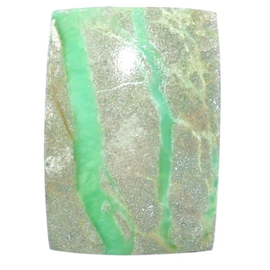 Utah Variscite 13.7x19.3x4 mm Baguette Shape Polished Gemstone LS93-07978