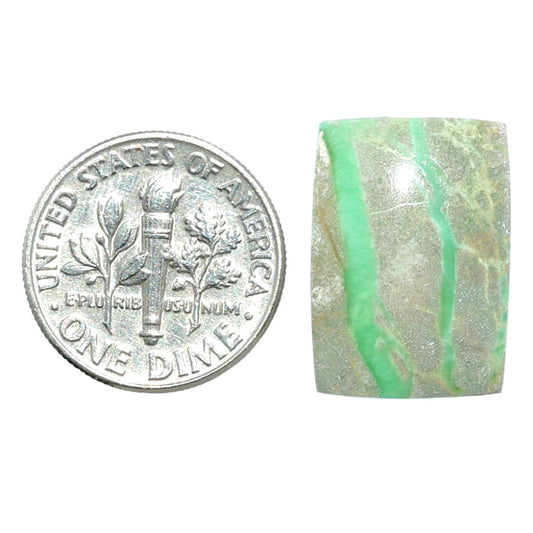 Utah Variscite 13.7x19.3x4 mm Baguette Shape Polished Gemstone LS93-07978