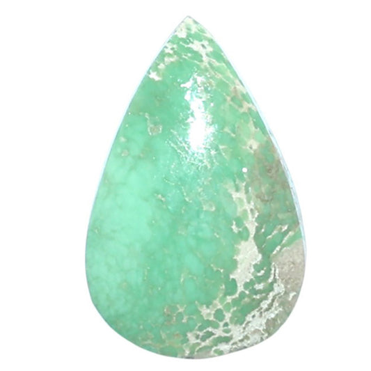 Utah Variscite 14x21.5x5 mm Pear Shape Polished Gemstone LS93-07982