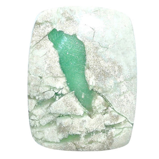 Utah Variscite 19.3x25.55x4.5 mm Cushion Shape Polished Gemstone LS93-07984