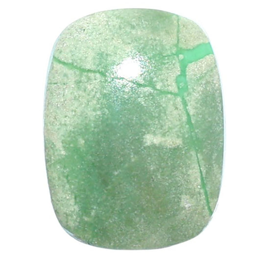 Utah Variscite 15.3x20.3x5 mm Cushion Shape Polished Gemstone LS93-07985