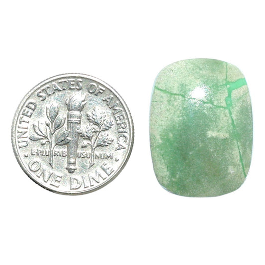 Utah Variscite 15.3x20.3x5 mm Cushion Shape Polished Gemstone LS93-07985