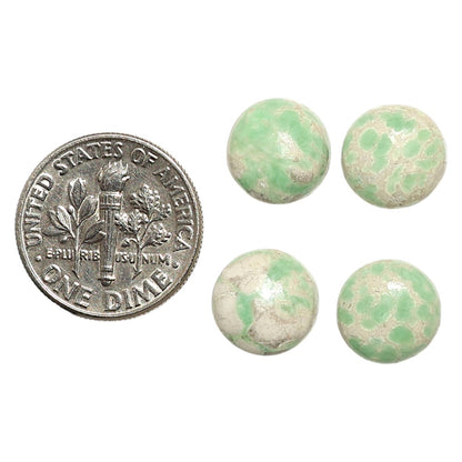Natural Utah Variscite 10x10x4 mm Round Shape Polished Gemstone Set of 4 LS93-09414
