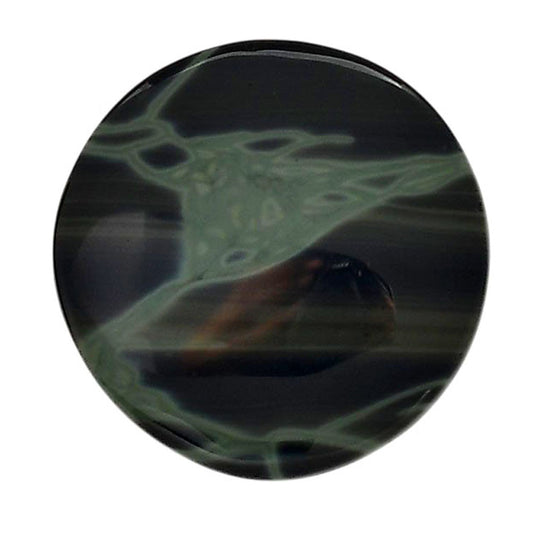 Spider Web Obsidian 29x29x5 mm Round Shape Polished Gemstone LS94-05848