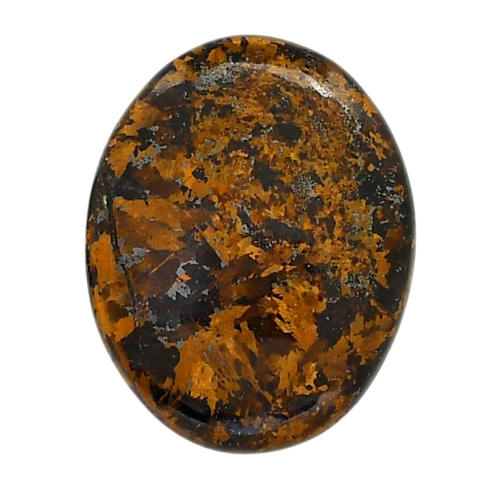 Bronzite 25.3x32.1x6 mm Oval Shape Polished Gemstone LS96-05887