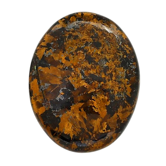 Bronzite 25.3x32.1x6 mm Oval Shape Polished Gemstone LS96-05887