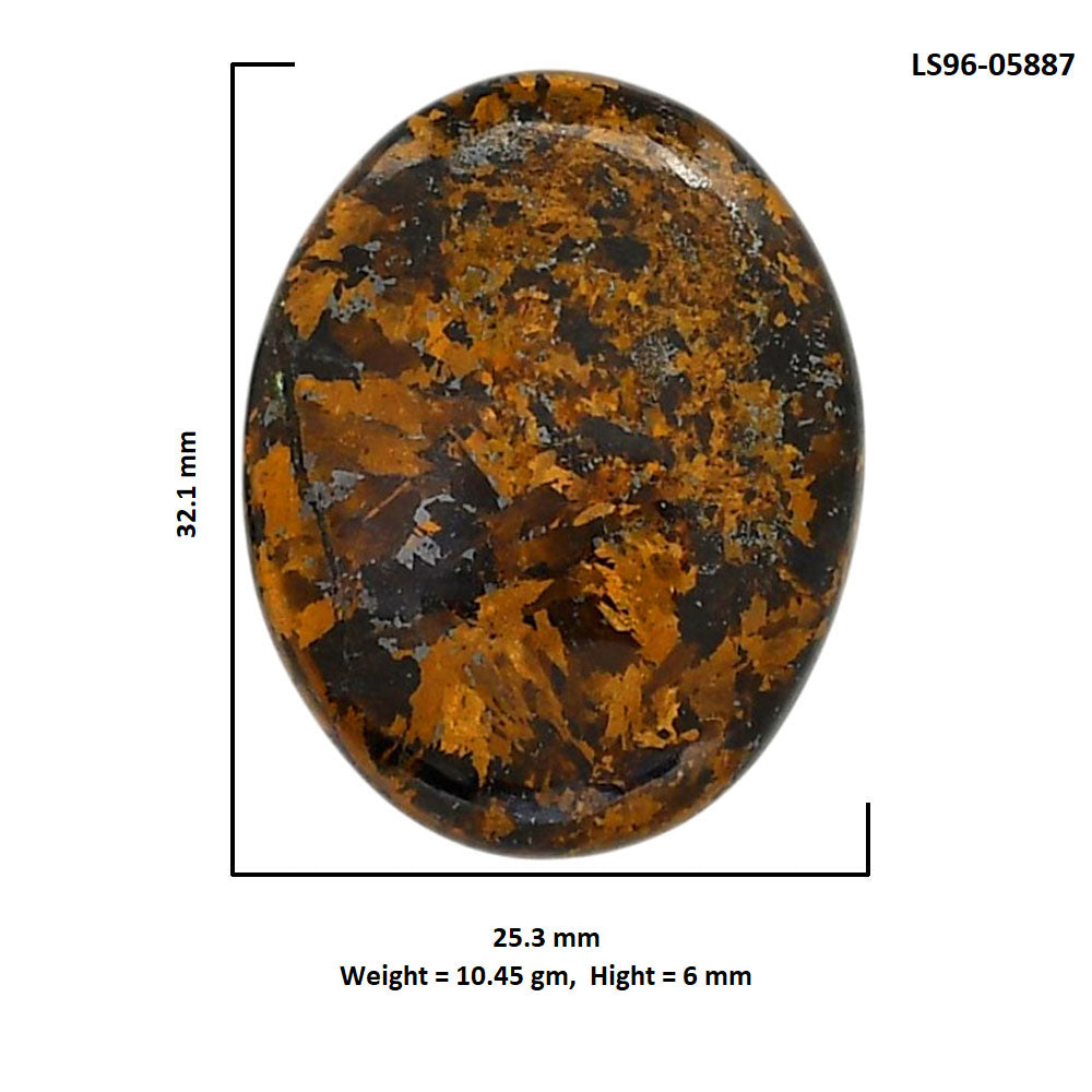 Bronzite 25.3x32.1x6 mm Oval Shape Polished Gemstone LS96-05887