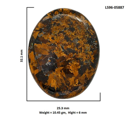 Bronzite 25.3x32.1x6 mm Oval Shape Polished Gemstone LS96-05887