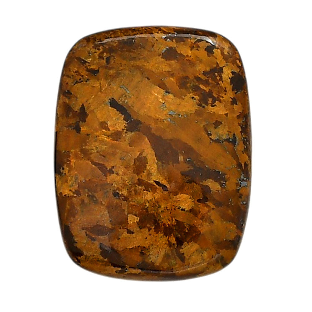 Bronzite 24.75x32x5 mm Cushion Shape Polished Gemstone LS96-05889