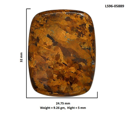 Bronzite 24.75x32x5 mm Cushion Shape Polished Gemstone LS96-05889