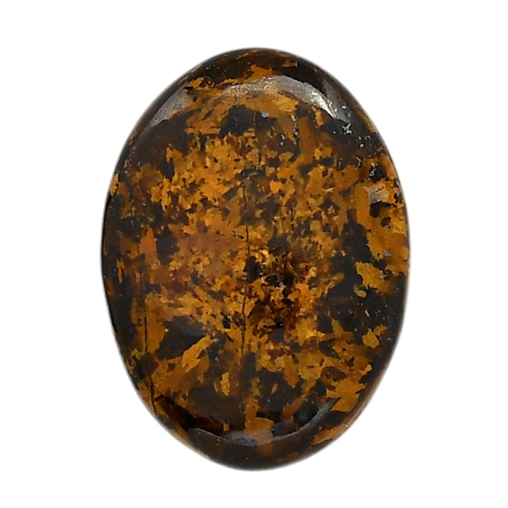 Bronzite 23.1x31.35x6.5 mm Oval Shape Polished Gemstone LS96-05890