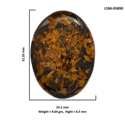 Bronzite 23.1x31.35x6.5 mm Oval Shape Polished Gemstone LS96-05890
