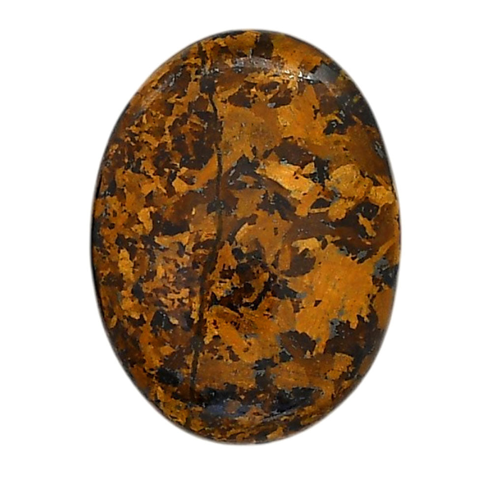 Bronzite 22.75x30.25x5.5 mm Oval Shape Polished Gemstone LS96-05891