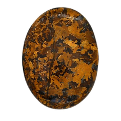 Bronzite 22.75x30.25x5.5 mm Oval Shape Polished Gemstone LS96-05891