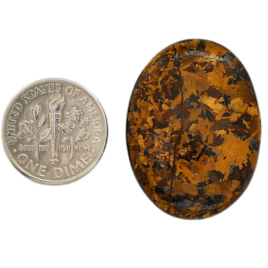 Bronzite 22.75x30.25x5.5 mm Oval Shape Polished Gemstone LS96-05891