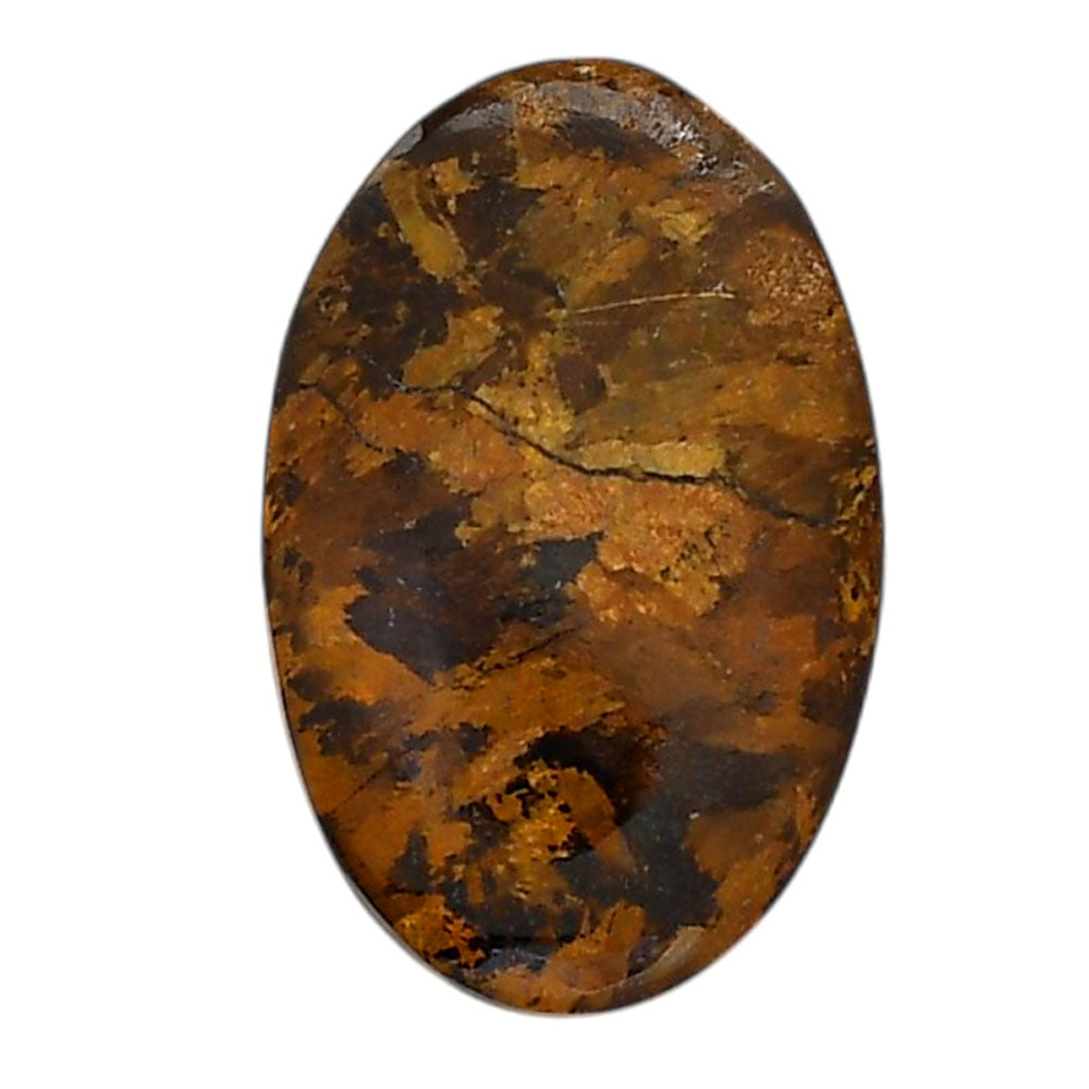 Bronzite 20x30.65x5 mm Oval Shape Polished Gemstone LS96-05892