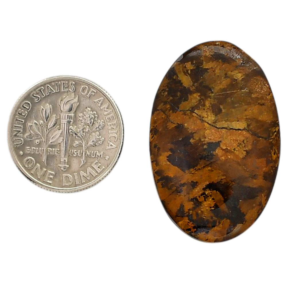 Bronzite 20x30.65x5 mm Oval Shape Polished Gemstone LS96-05892