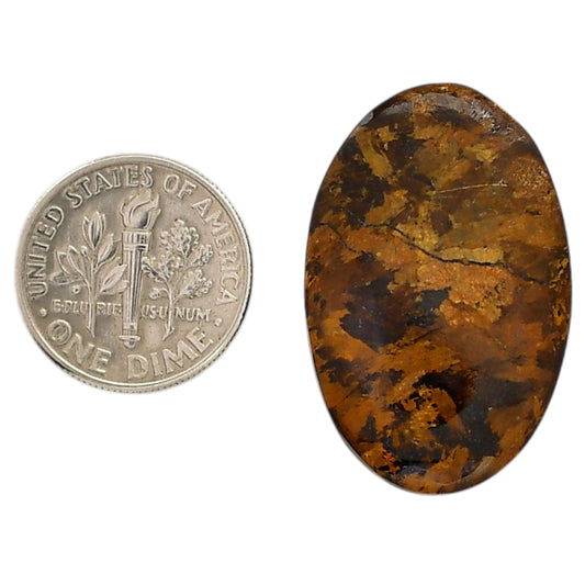 Bronzite 20x30.65x5 mm Oval Shape Polished Gemstone LS96-05892