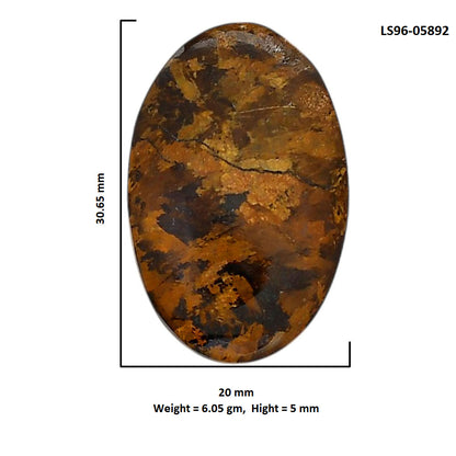 Bronzite 20x30.65x5 mm Oval Shape Polished Gemstone LS96-05892