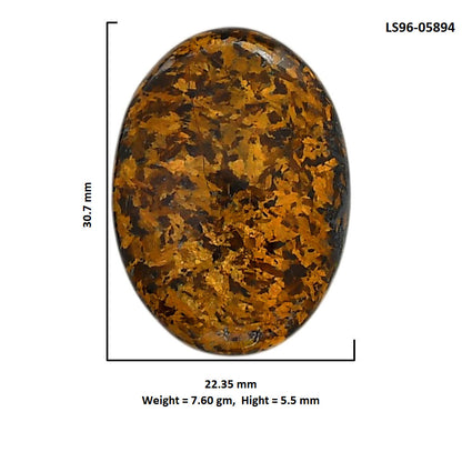 Bronzite 22.35x30.7x5.5 mm Oval Shape Polished Gemstone LS96-05894
