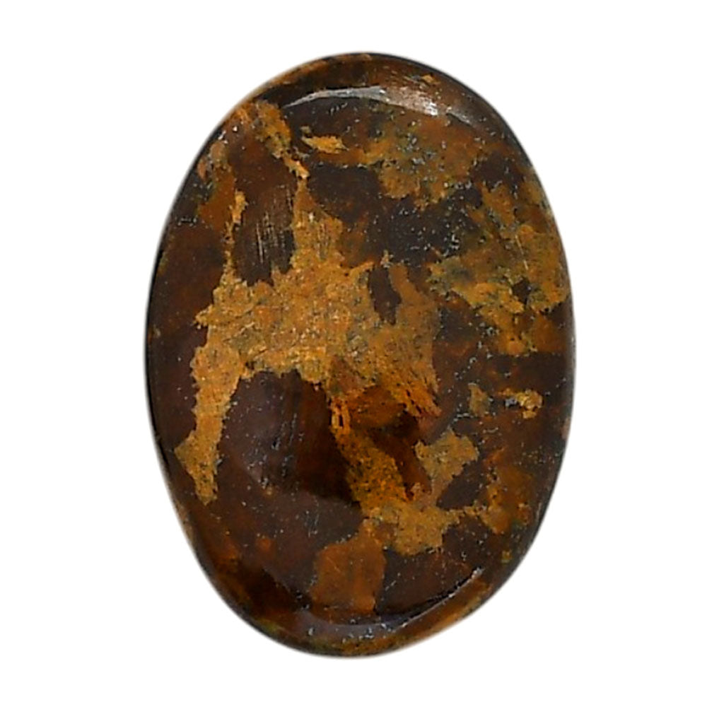Bronzite 20x28.1x5.8 mm Oval Shape Polished Gemstone LS96-05895