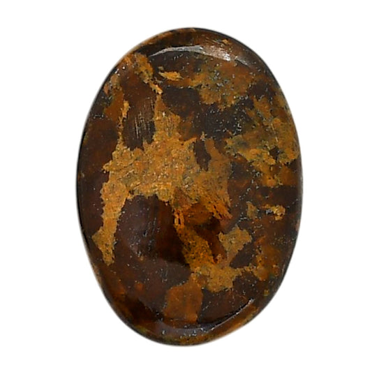 Bronzite 20x28.1x5.8 mm Oval Shape Polished Gemstone LS96-05895