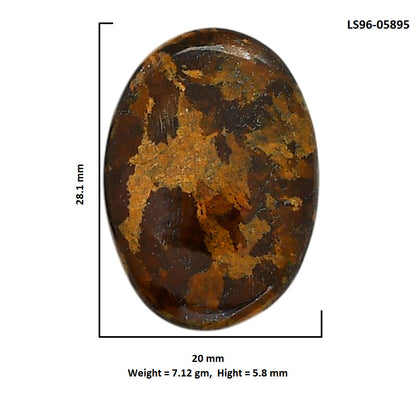 Bronzite 20x28.1x5.8 mm Oval Shape Polished Gemstone LS96-05895