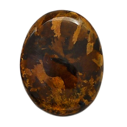 Bronzite 19.3x24.45x5.5 mm Oval Shape Polished Gemstone LS96-05896