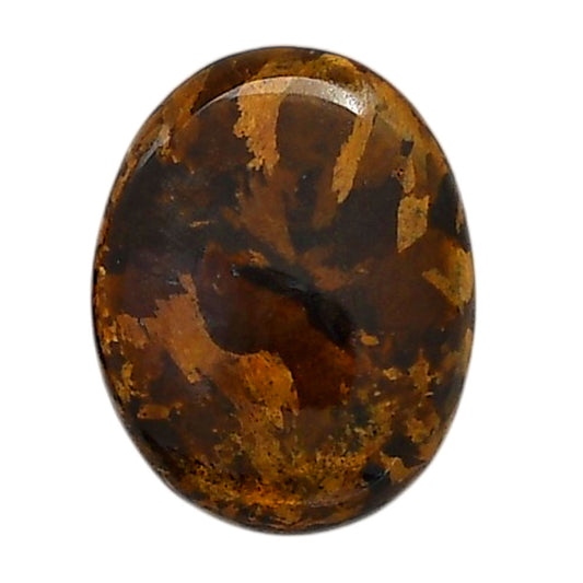 Bronzite 19.3x24.45x5.5 mm Oval Shape Polished Gemstone LS96-05896