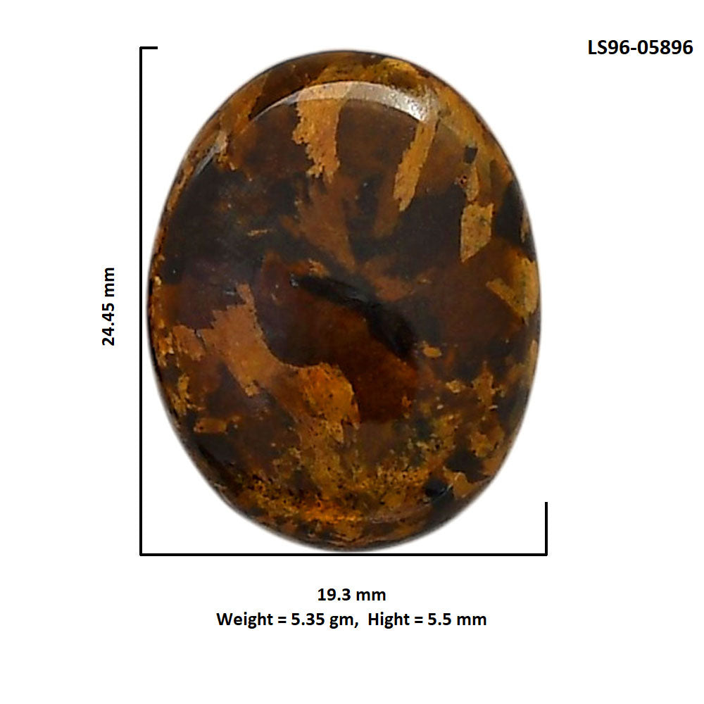 Bronzite 19.3x24.45x5.5 mm Oval Shape Polished Gemstone LS96-05896
