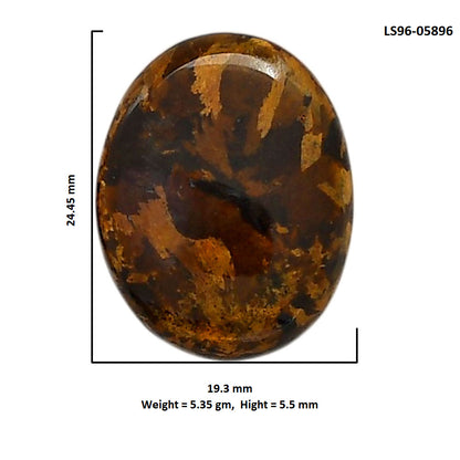 Bronzite 19.3x24.45x5.5 mm Oval Shape Polished Gemstone LS96-05896
