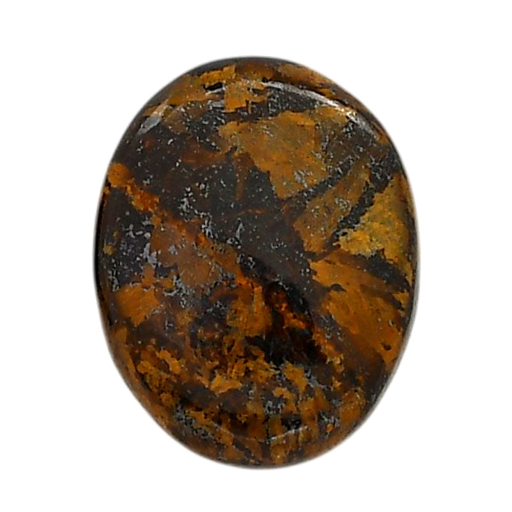 Bronzite 19.4x24.4x5 mm Oval Shape Polished Gemstone LS96-05897