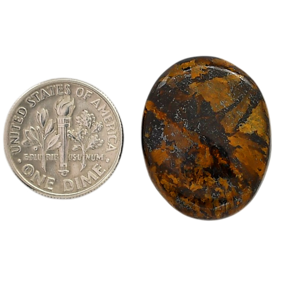 Bronzite 19.4x24.4x5 mm Oval Shape Polished Gemstone LS96-05897